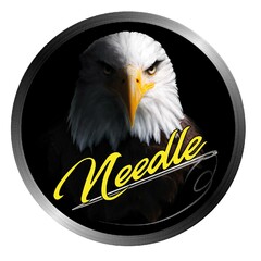 Needle