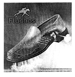 FLUCHOS PERSPIRATION EXPULSION