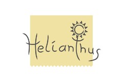 Helianthus