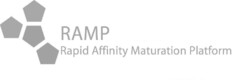 RAMP Rapid Affinity Maturation Platform