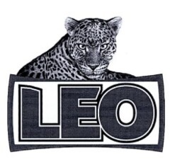 LEO