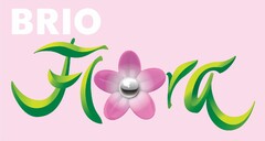 BRIO Flora