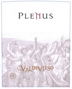 PLENUS VALDIVIESO