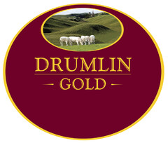 DRUMLIN -GOLD-