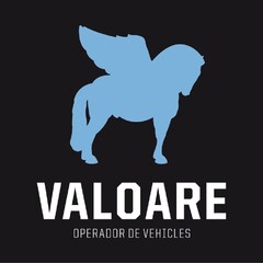 VALOARE OPERADOR DE VEHICLES