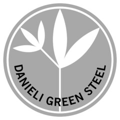 DANIELI GREEN STEEL