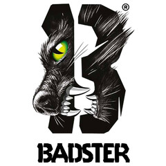 BADSTER