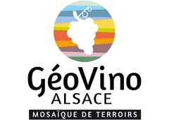 GéoVino ALSACE MOSAIQUE DE TERROIRS