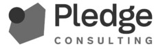 Pledge consulting