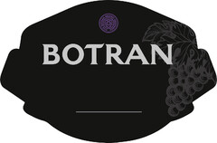 BOTRAN  FIVE BOTRAN MERINO HERMANOS