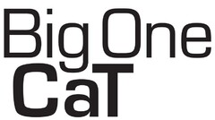 Big One CaT