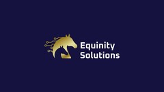 Equinity Solutions
