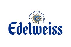 EDELWEISS BORN IN THE ALPS 1646