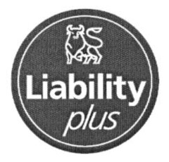 Liability plus