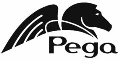 Pega