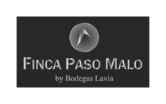 Finca Paso Malo by Bodegas Lavia