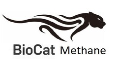BioCat Methane