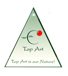 Top Art Top Art is our Nature!