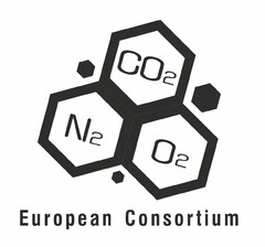 CO2 N2 O2 EUROPEAN CONSORTIUM