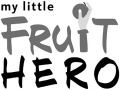 my little FRUIT HERO