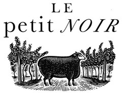 LE petit NOIR