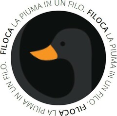 FILOCA LA PIUMA IN UN FILO