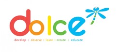 DOLCE develop . observe . learn . create . educate