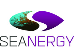 SEANERGY