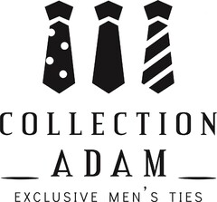 COLLECTION ADAM EXCLUSIVE MEN ' S  TIES