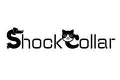 ShockCollar