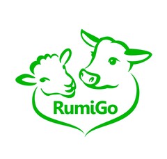 RumiGo