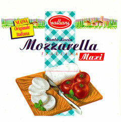 Mozzarella ITALIANA Maxi Galbani Santa Lucia