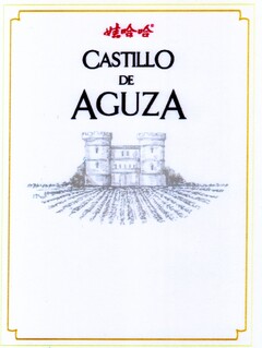 CASTILLO DE AGUZA