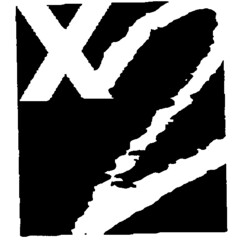 X2