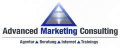 Advanced Marketing Consulting Agentur Beratung Internet Trainings