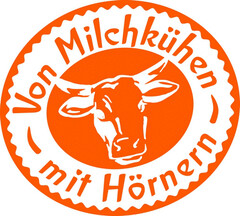 Von Milchkühen mit Hörnern