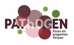 PAThOGEN Focus on grapevine viruses