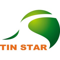 TIN STAR