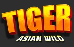 TIGER ASIAN WILD