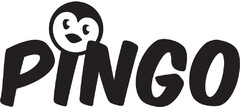 PINGO