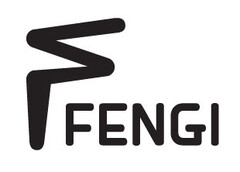 FENGI