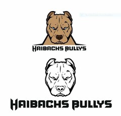 Haibachs Bullys