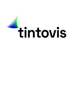 TINTOVIS