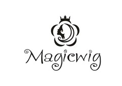 Magicwig