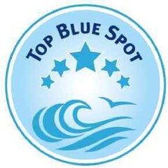 TOP BLUE SPOT