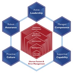 Active Leadership Managed Competence Supportive Capability Proactive Culture Robust Assurance Continuous Improvement Feedback & Promotion Interventions Investigations Reporting & Analysis Human Factors & Error Management