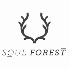SOUL FOREST
