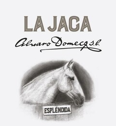 LA JACA ALVARO DOMECQ S.L. ESPLÉNDIDA