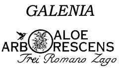 GALENIA ALOE ARBORESCENS Frei Romano Zago