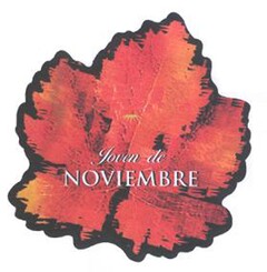 JOVEN DE NOVIEMBRE